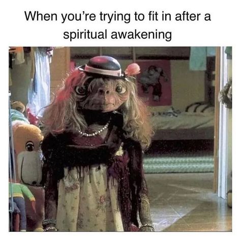 Just a little spiritual meme dump to make you life #esoteric #spiritualjourney Dominicans Be Like, Workplace Memes, Getting Up Early, Try To Remember, Memes Humor, Social Work, Photo Instagram, Spiritual Journey, Bones Funny