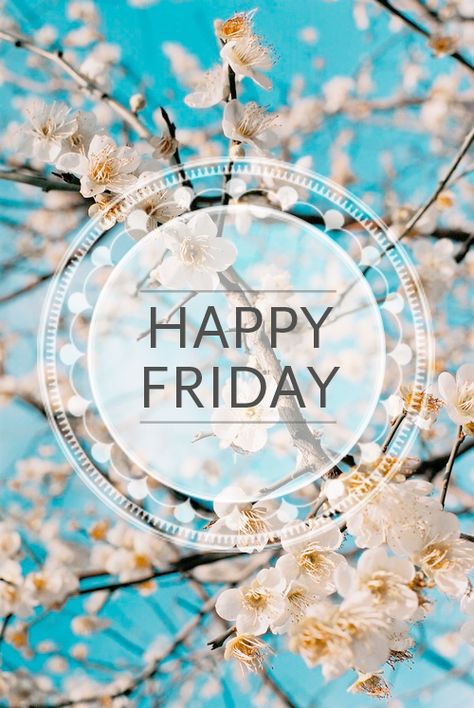 it's Friday! enjoy your weekend, spread love, cheer and happiness to all those around you <3 Happy Friday Pictures, Friday Funnies, Morning Friday, Friday Images, Daily Greetings, Friday Love, Happy Friday Quotes, Happy Week End, Weekday Quotes