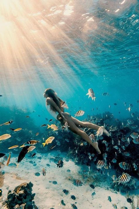 Diving Aesthetic, Snorkeling Pictures, Swimming In The Ocean, Photo To Art, Free Diving, Underwater Photos, Water Photography, Underwater Photography, In The Ocean