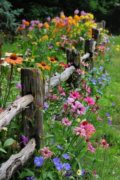 Cold Climate Gardening, Gardening Photography, Flower Bed Designs, Garden Display, Gothic Garden, Flower Bed Ideas, Plant Combinations, Bed Ideas, Garden Fencing