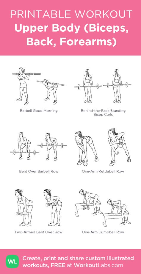 Back Biceps Forearms Workout, Upper Body With Barbell, Upper Body Workout Barbell, Forearm Gym Workout, Barbell Upper Body Workout, Upper Body Barbell Workout, Forearm Exercises For Women, Forearm Workout Women, Barbell Workout For Women