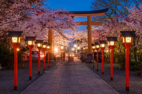 2-Day Kyoto, Japan Cherry Blossom Itinerary - #travel #sakura #cherryblossom #kyoto #japan Japan Aesthetic Landscape, Kyoto Landscape, Japan Landscape Photography, Kyoto Japan Aesthetic, Kyoto Japan Cherry Blossom, Kyoto Aesthetic, Sakura Party, Kyoto Cherry Blossom, Architecture 2023