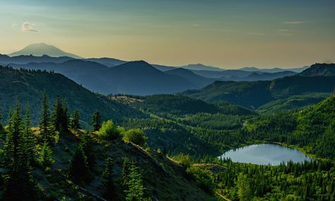 Sunrise upon Mt. Adams and the Gifford Pinchot National Forest Randle WA [OC] 6000x4000 @sirwilliamgorge  Click the link for this photo in Original Resolution.  If you have Twitter follow twitter.com/lifeporn5 for more cool photos.  Thank you author: https://bit.ly/3gtrxG7  Broadcasted to you on Pinterest by pinterest.com/sasha_limm  Have The Nice Life! Gifford Pinchot National Forest, Nice Life, Background Nature, Scenery Photos, Nature Wallpapers, Nature Scenery, 25 September, Nature Background, National Photography