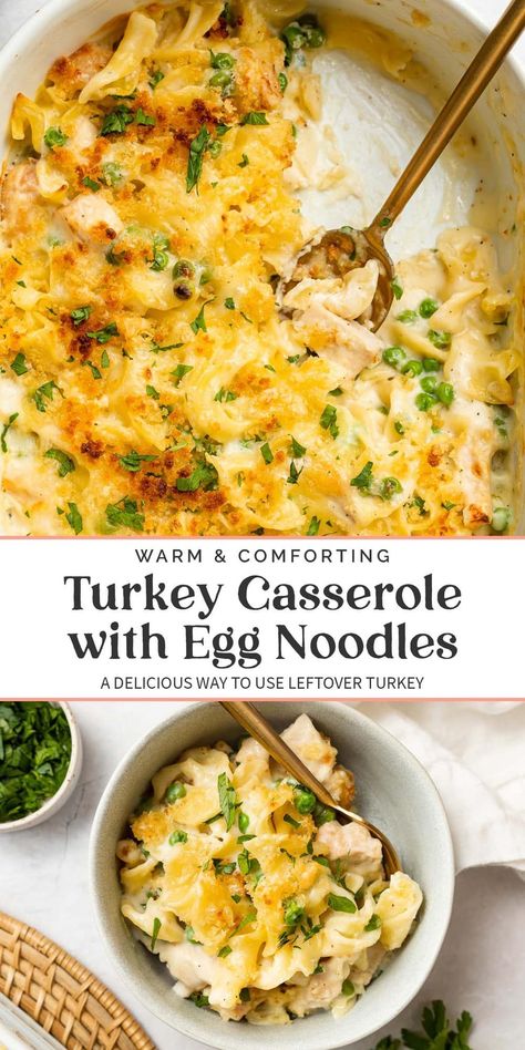 This baked turkey casserole is wholesome and delicious! A rich and indulgent cream sauce is baked with leftover turkey, egg noodles, and peas for a comforting meal. Turn thanksgiving leftovers into this easy dish! Turkey Dishes Leftover, Turkey Egg Noodles, Turkey Noodle Casserole, Turkey Casserole Recipe, Turkey Egg, Leftover Turkey Casserole, Turkey Pasta, Turkey Casserole, Leftover Turkey Recipes