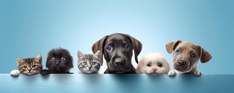 Photo dogs and cats peeking over the cle... | Premium Photo #Freepik #photo #dog #dog-cat #funny-dog #cute-pet Dog Cover Photo, Pet Dog Pictures, Paw Logo, Grooming Business, Yt Videos, Dog Animation, Dog Cover, Cat Profile, Cat Background