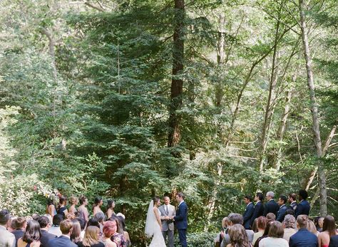 Weddings & Events | Glen Oaks Big Sur Big Sur Wedding, Big Sur, Wedding Venue, Wedding Events, Dolores Park, Wedding Venues, Weddings, Couple Photos, Travel