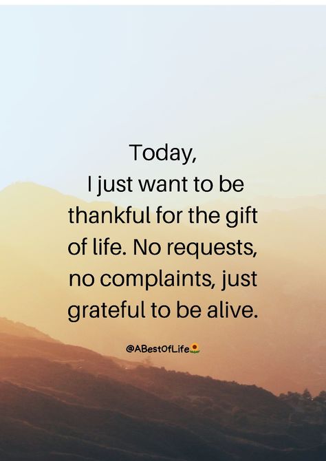 Today, I just want to be thankful for the gift of life. No requests, no complaints, just grateful to be alive. Thank Full Quotes Be Grateful, Always Something To Be Grateful For, Gift Of Life Quotes Gratitude, Grateful For Life Quotes Be Thankful, Gratitude Quotes Thankful I Am Blessed My Life Is, Appreciate Life Quotes Be Thankful, Thankful Motivational Quotes, Be Thankful Quotes Inspiration, Gratitude For Life Quotes