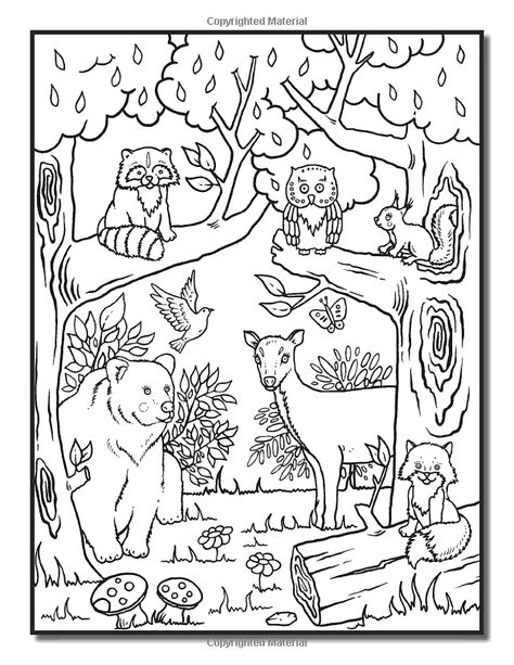 Animals In Nature Drawings, Coloring Book Trend, Wilderness Coloring Pages, Nature And Animals Drawing, Woodland Colouring Pages, Woodland Creatures Coloring Pages, Forest With Animals Drawing, Forest Colouring Page, Forest Ecosystem Drawing