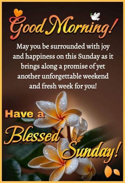 Morning Quotes Sunday, Tuesday Morning Quotes, Blessings Sunday, Good Morning Saturday Wishes, Blessed Sunday Morning, Blessed Sunday Quotes, Inspirational Morning Prayers, Sunday Sunrise, Quotes Sunday