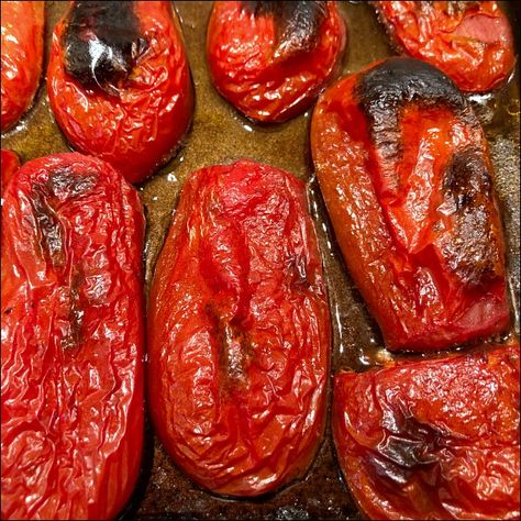 Fire Roasted Tomatoes Recipe, Soups And Chilis, Roasted Tomato Recipes, Gardening Tomatoes, Fire Oven, Oven Roasted Tomatoes, Garden Tomatoes, Roasted Tomato Sauce, Pizza Sauce Homemade