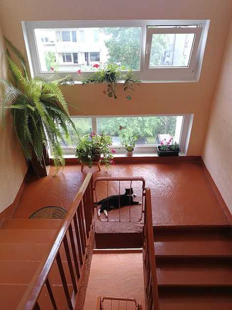 Soviet Apartment Renovation, Soviet Apartment Building, Soviet Apartment Interior, Soviet Interior Design, Russian Apartment Aesthetic, Apartment Building Staircase, Ukrainian Apartment, Slavic House, Soviet House