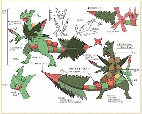 Pokemon Settei Archive Pokemon Concept Art, Pokemon Concept, Pokemon Mix, Concept Art Books, Pokemon Lugia, Hoenn Region, Pokemon Official, Pokemon Sketch, Mega Pokemon