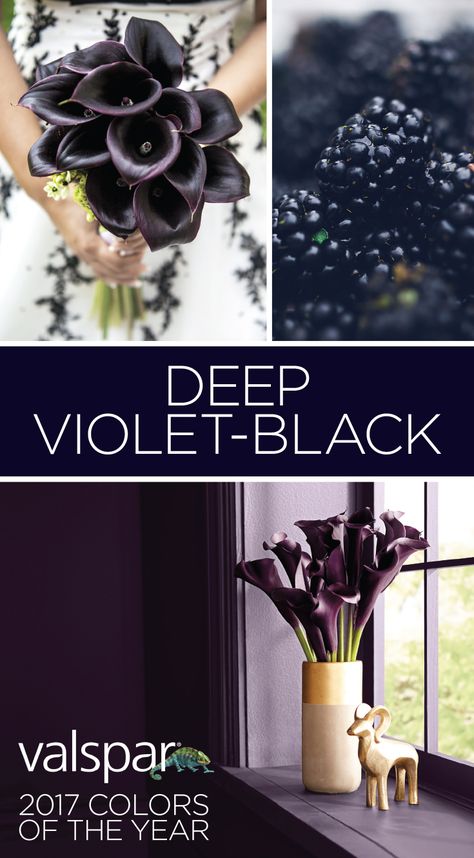 “A hidden undertone of violet draws you in, like the night sky. Powerful and meditative, deep purple-black creates drama without distraction.” Sue Kim, Valspar Color Strategist. One of 12 Valspar 2017 Colors of the Year: Black Currant VR089A at Ace.  https://www.askval.com/ColorsOfTheYearLanding/Deep-Violet-Black Dark Purple Paint, Purple Paint Colors, Purple Bathrooms, Purple Bedroom, Purple Paint, Purple Walls, Black Currant, Color Palate, Maximalism