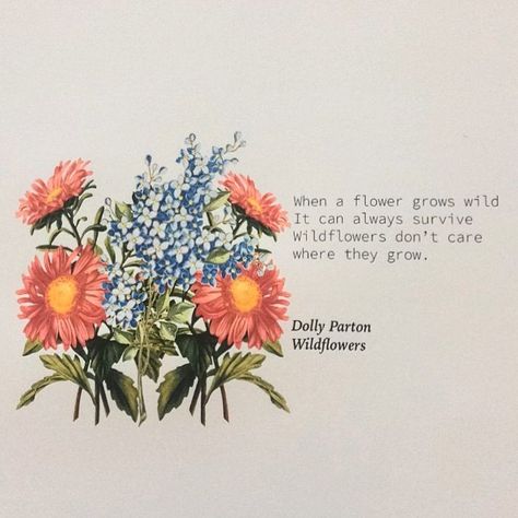 Dolly Quote Tattoo, Dolly Parton Wildflower, Wildflowers Dolly Parton, Dolly Parton Senior Quotes, Dolly Parton Song Lyrics, Dolly Parton Inspired Outfit Ideas, Dolly Parton Song Lyrics Quotes, Lainey Wilson Lyrics Quotes, Dolly Parton Inspired Tattoo