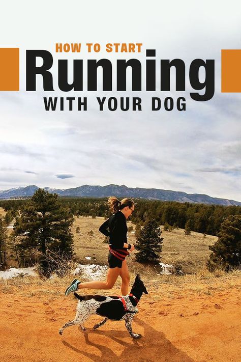 How to Start Running With Your Dog - what you need to know Running With Dog, Puppy Gear, Running Advice, Puppy Things, Running Partner, Puppy Stages, Running Buddies, Start Running, Ultra Running