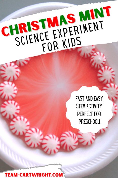 Text: Christmas Mint Science Experiment for Kids Fast and Easy STEM Activity Perfect for Preschool!
Picture: close up of christmas mint science experiment with circle of red and white mints on a plate. Water added to plate and red color spreads to the middle of the plate. Prek Christmas Science Experiments, Christmas Ideas Classroom Activities, Christmas Party For Classroom, Kindness Stem Activities, Winter Experiments Preschool, Candy Cane Science Experiment Preschool, Preschool Winter Projects, Christmas Sensory Activities For Kids, Winter Science For Preschool