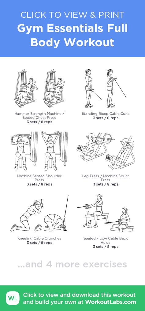 Gym Essentials Full Body Workout – click to view and print this illustrated exercise plan created with #WorkoutLabsFit Full Body Exercises Gym, Full Body Cable Workout, Full Body Cable Machine Workout, Full Body Gym Workout For Women, Weight Machine Workout, Gym Workouts Machines, Gym Items, Workout Labs, Workout Gym Routine