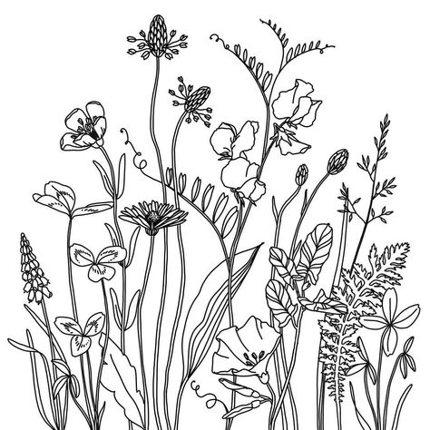 Coseup of the wildflower medow I posted a few weeks ago.. #wildflowers #daisy #buttercup #sweetpea #illustration #floralillustration… Wildflower Line Drawing, Wildflower Drawing, Botanical Line Drawing, Flower Line Drawings, Flower Drawing Design, Pola Sulam, Floral Drawing, Flower Doodles, Floral Illustrations