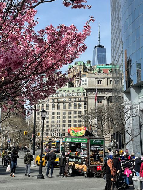 Spring New York Aesthetic, Spring In Nyc Aesthetic, Nyc Aesthetic Spring, New York In The Spring, Nyc Spring Aesthetic, Nyc In March, Nyc In Spring, New York In June, New York City Spring