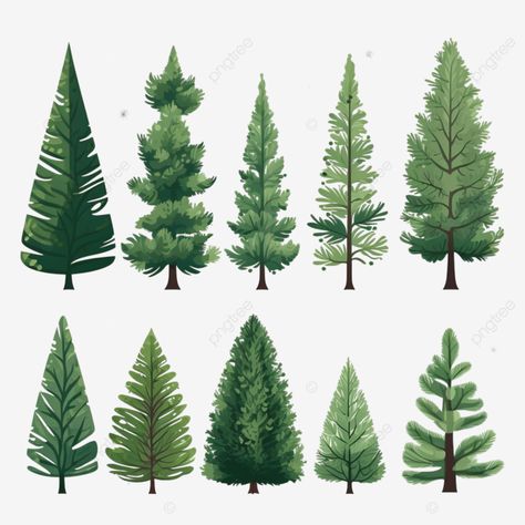 christmas trees in flat style isolated pine spruce fir vector illustration nature forest set png Pine Tree Illustration Simple, Fir Tree Drawings, Evergreen Illustration, Pine Illustration, Cute Firs, Pine Tree Illustration, Types Of Pine Trees, Pine Tree Drawing, Christmas Tree Illustration