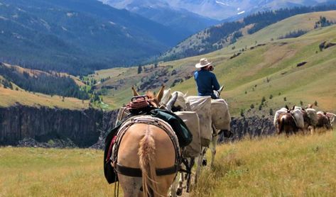 Take in breathtaking scenery and activities including fly-fishing, wildlife viewing and hiking Saratoga Wyoming, Wyoming Mountains, Logging Industry, Glass Castle, Wyoming Travel, Modern Mountain Home, Mountain Living, Mountain Modern, Get Outdoors