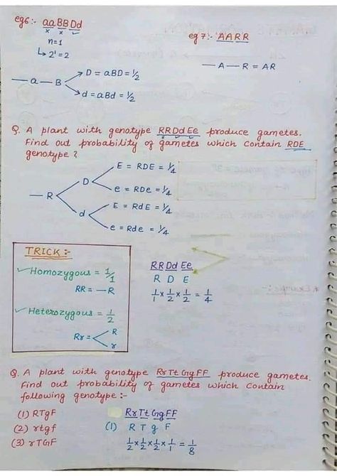 Question solving for heredity allele genes Hand Written Notes, Learn Biology, Written Notes, Neet Exam, Study Flashcards, Biology Teacher, Chemistry Teacher, Biology Notes, English Verbs