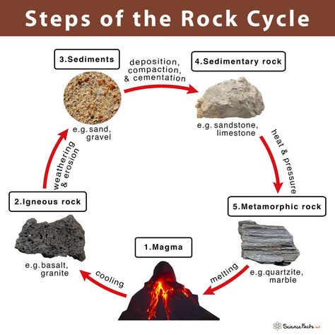 Rock Cycle Diagram, Rock Cycle Project, Different Types Of Rocks, Cycle Drawing, Araling Panlipunan, Earth Science Lessons, Weathering And Erosion, Classroom Science, Rock Cycle