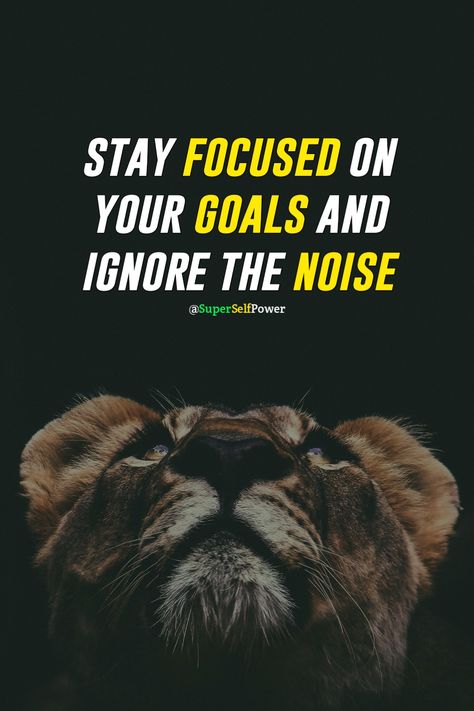 Quotes On Mindset Motivation, Motivation For Men Inspiration, Focus Goals Quotes, Stay Focused On Your Goals Quotes, Focus Your Goal, Focus On The Goal Quotes, Staying Focused On Goals, Staying Focused Quotes, Discipline Quotes Stay Focused