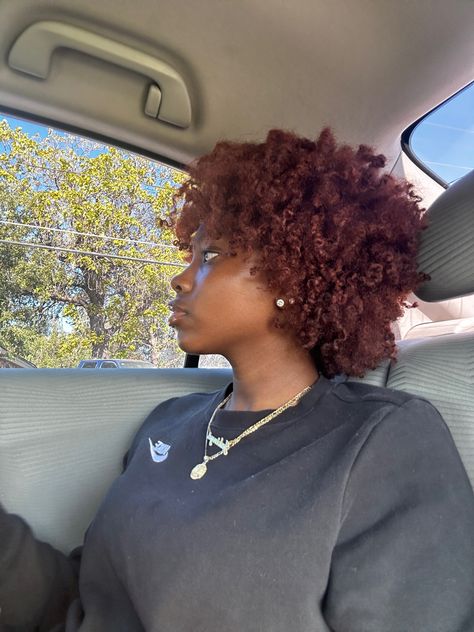 Color Black Women Hair, Short Dyed Natural Hair, Dark Ginger Natural Hair, Dyed Ends Natural Hair, 4c Colored Hair, Colored Afro Natural Hair, Colored 4c Hair, Afro Dyed Hair, Dyed Tips Curly Hair