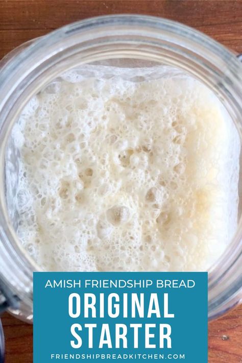 Amish Bread Starter, Bread Starters, Amish Bread Recipes, Amish Friendship Bread Starter Recipes, Friendship Bread Recipe, Friendship Bread Starter, Amish Bread, Amish Friendship Bread, Sourdough Bread Starter