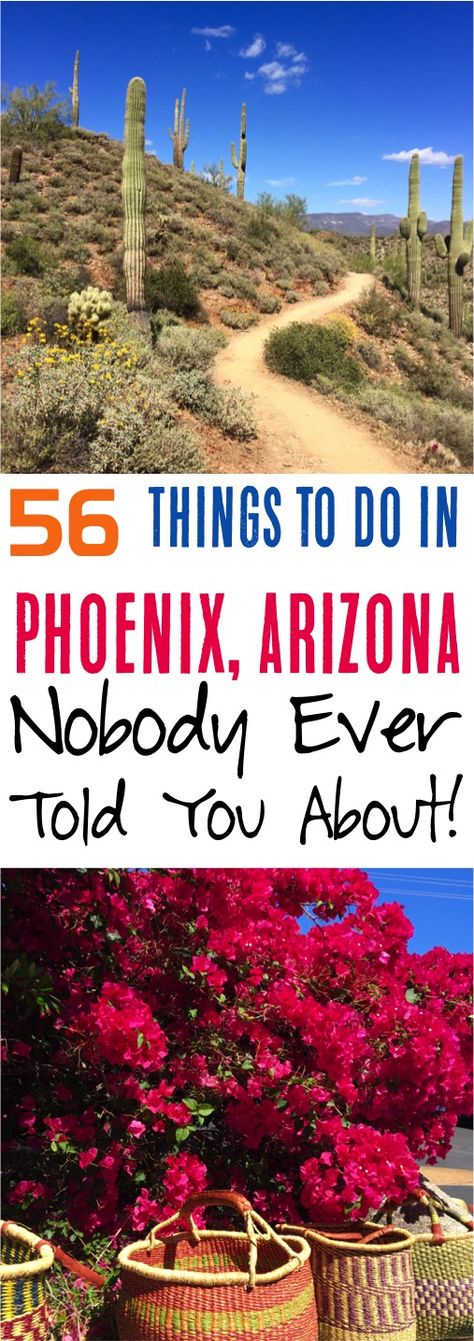 To Do In Phoenix Arizona, Arizona Travel Guide, Desert City, Arizona City, Arizona Adventure, Arizona Vacation, Arizona Road Trip, Arizona Hiking, Destinations Travel