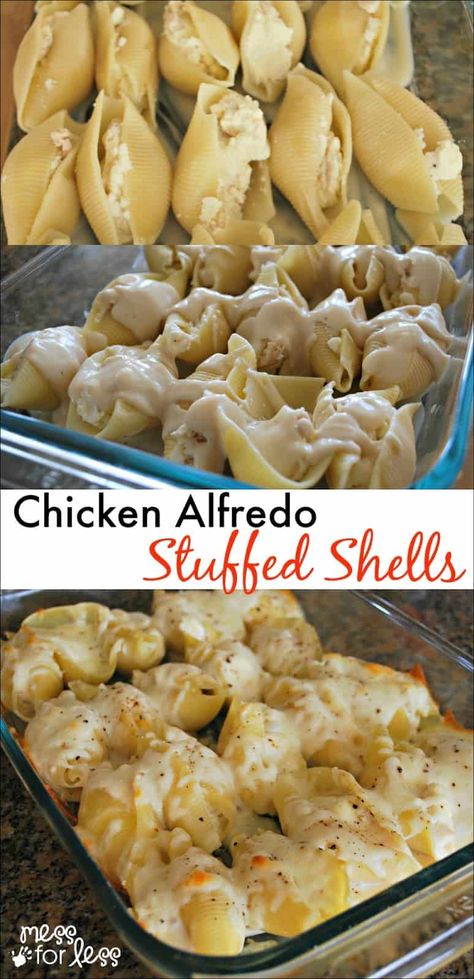 Shells Pasta, Chicken Alfredo Stuffed Shells, Alfredo Stuffed Shells, Shells Recipe, Stuffed Shells Recipe, Chicken Alfredo, Dinner Easy, Idee Pasto Sano, Stuffed Shells