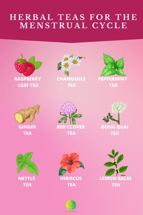 Rasberry Leaf Tea, Raspberry Leaf Tea Benefits, Menstrual Tea, Cycling Food, Tea Blends Recipes, Period Blood, Kitchen Witch Recipes, Lemon Balm Tea, Healthy Period