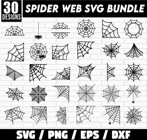 Different Types Of Spider Webs, Easy Spiderweb Drawing, Spider Web Drawing Easy, Spider Web Outline, Spiderweb Sketch, Spoder Web, Spider Web Stencil, Diy Halloween Spider Web, Spider Web Clipart