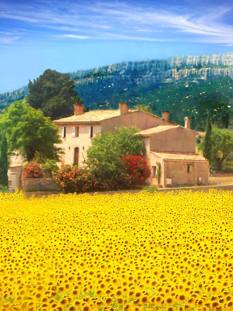 St Maxime-France Sunflower Field, Provence France, Sunflower Fields, French Countryside, Pretty Places, France Travel, Places Around The World, Belle Photo, Toscana