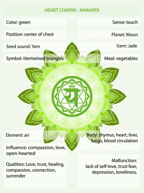 Green Chakra Meaning - The Heart Chakra Color Explained • Colors Explained Chakra Meaning, Purple Chakra, Red Chakra, 2024 Colors, Chakra Meanings, Green Chakra, Chakra Health, The Heart Chakra, Yoga Chakra