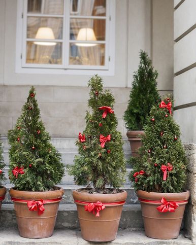 outdoor christmas planters trees Outdoor Christmas Planter Ideas, Christmas Planter Ideas, Best Outdoor Christmas Decorations, Navidad Natural, Christmas Planter, Holiday Decorating Ideas, Outdoor Christmas Planters, Chic Christmas Decor, Simple Holiday Decor