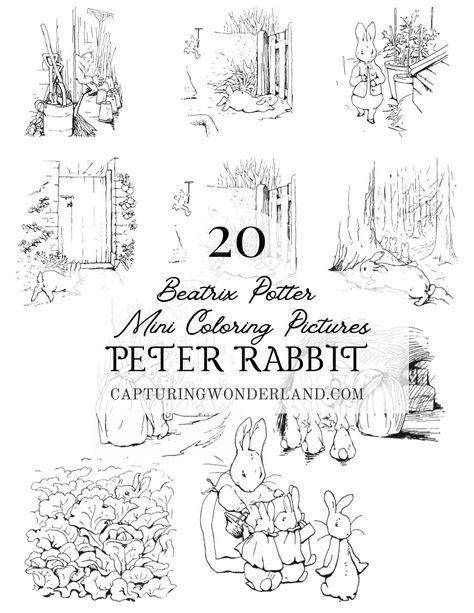 Wonderland Subscriber Library How To Draw Beatrix Potter Characters, Peter Rabbit Drawing Easy, Peter Rabbit Coloring Pages, Rabbit Coloring Pages, Learning Watercolor, Peter Rabbit Illustration, Rabbit Sewing, Rabbit Coloring, Rabbit Watercolor