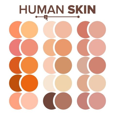 Human Skin Texture, Skin Color Chart, Skin Tone Color, Purple Colour Shades, Texture Palette, Summer Vector, Human Vector, Skeleton Illustration, Skin Color Palette