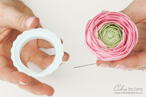 Gumpaste Ranunculus Flower Tutorial – Cakes by Lynz Ranunculus Illustration, Ranunculus Wallpaper, Ranunculus Tattoo, Growing Ranunculus, Watercolor Ranunculus, Bouquet Ranunculus, Blush Ranunculus, Ranunculus Pink, Ranunculus Arrangement