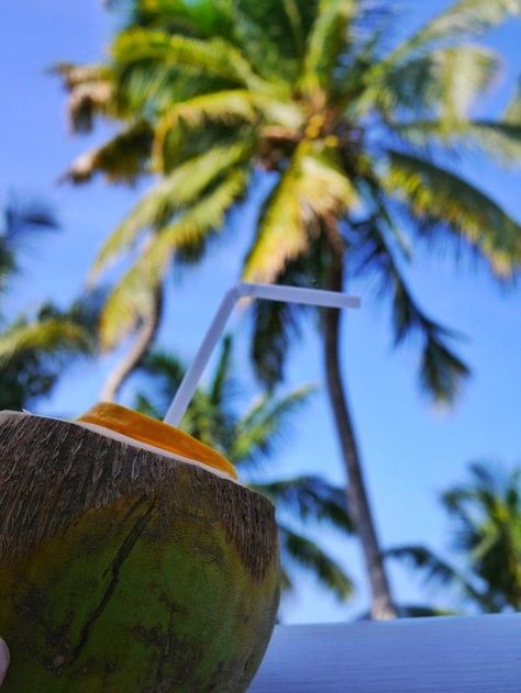 Coconuts Beach, Nature Story, Coconut Drinks, Instagram Planner, Beachy Outfits, Fresh Coconut, Tropical Beaches, Traditional Dance, Kerala India