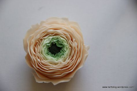 Cake Decorating Flowers, Sugar Flowers Tutorial, Pink Ranunculus, I Love Flowers, Cooking Advice, Fondant Tutorial, Fondant Flowers, Favorite Flower, Favorite Flowers