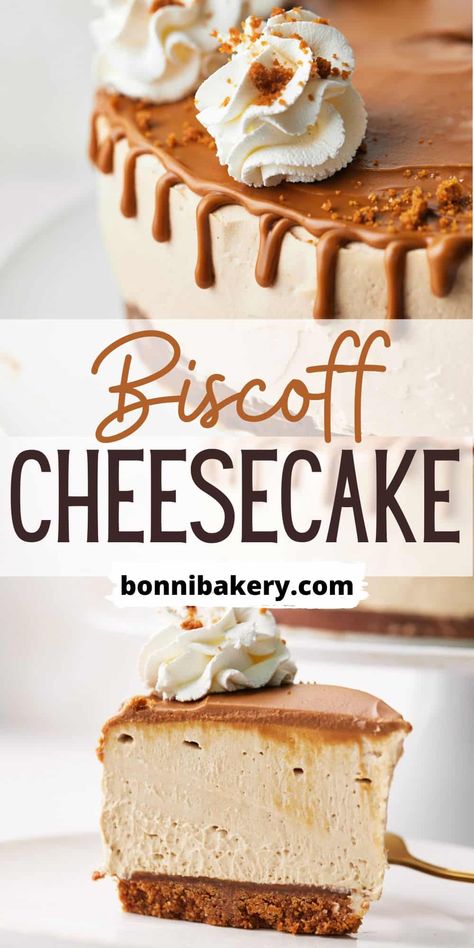 This Biscoff cheesecake is creamy and delicious and packed full of cookie butter flavor. It has biscoff in the base, the cheesecake and the topping! It's a no-bake cheesecake so a super easy recipe for a great biscoff dessert. Using smooth biscoff spread, this cheesecake is a great dessert for a party, dinner party or birthday - or a gift for a biscoff lover! #biscoff #biscoffspread #cookiebutter #biscoffcheesecake #biscoffdesserts #biscoffideas #bakingwithbiscoff #cheesecakerecipes Biscoff No Bake Cheesecake, Biscoff Dessert, Dessert For A Party, Cookie Butter Cheesecake, Biscoff Cookie Recipe, Lotus Biscoff Cheesecake, Strawberry Banana Cheesecake Salad, Specialty Cookies, Biscoff Recipes