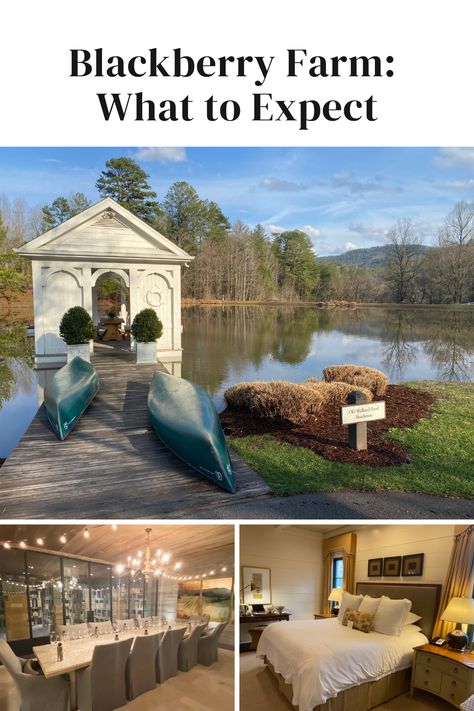 Blackberry Farm Review: What to Expect On Your Vacation Blackberry Farms Tennessee, Blackberry Farm Tennessee, Blackberry Farm, Retirement Strategies, Blackberry Farms, Family Trips, Farm Stay, Future Travel, Smoky Mountains