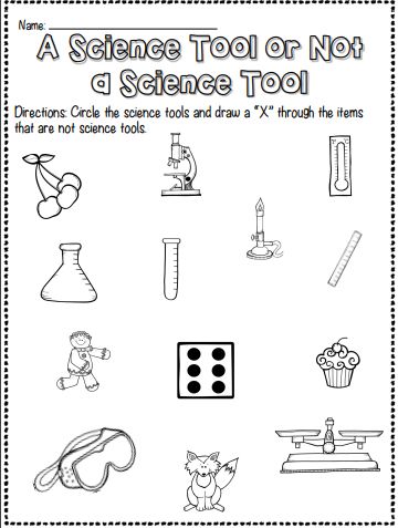 Science Tool or Not? Interactive Worksheet – Edform Science Tools Activities Preschool, Kindergarten Science Experiments Easy, What Is A Scientist Activity, Science For Kids Worksheets, Science Tools Worksheet, Science Kindergarten Worksheets, Science Tools Activities, What Do Scientists Do, Science Worksheets For Kindergarten