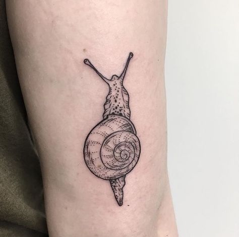 Snail Tattoo With Mushrooms, Traditional Snail Tattoo, Snail Tattoo Design, Snail Tattoos, Snail Tattoo, Dragon Tattoo Ideas, Shell Tattoos, Cute Snail, Funky Tattoos