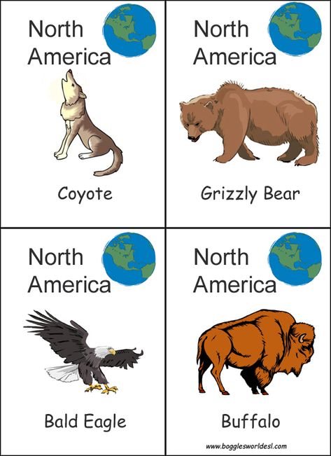 Continents Activities, Multicultural Crafts, Travel Theme Classroom, Airplane Activities, Montessori Geography, North American Animals, Geography For Kids, Continents And Oceans, Animal Worksheets