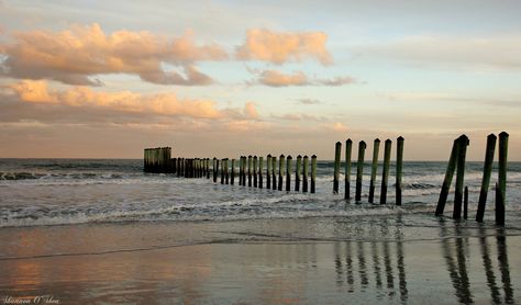 Mayport Poles Beach, the boundary between Hanna Park and Naval Station Mayport, Florida. Mayport Florida, Military Brat, Atlantic Beach, South Pole, Jacksonville Florida, Salt And Water, Cover Photo, Photo Reference, Beach Life