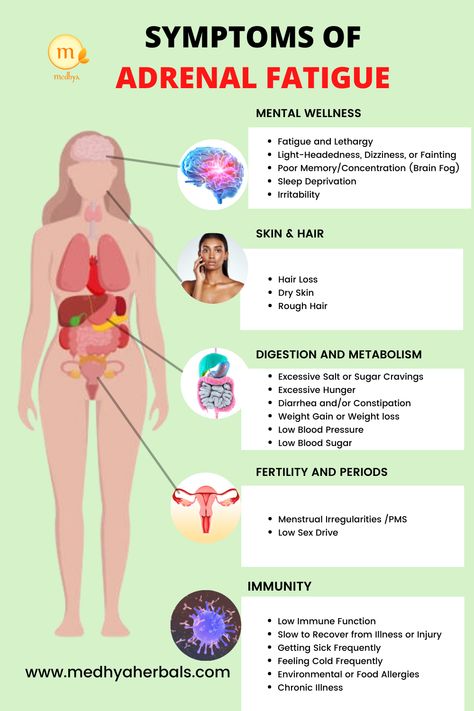 Signs and Symptoms of Adrenal fatigue indicate chronic stress that has depleted the normal functioning of your adrenal glands. Learn how stress and adrenal fatigue affect your mental health and what can you do. Check out the post for detailed guidelines on relieving stress naturally. Symptoms Of Adrenal Fatigue, Adrenal Exhaustion, Hormone Imbalance Symptoms, Constantly Tired, Adrenal Fatigue Symptoms, Fatigue Symptoms, Balance Hormones Naturally, Low Libido, Adrenal Fatigue