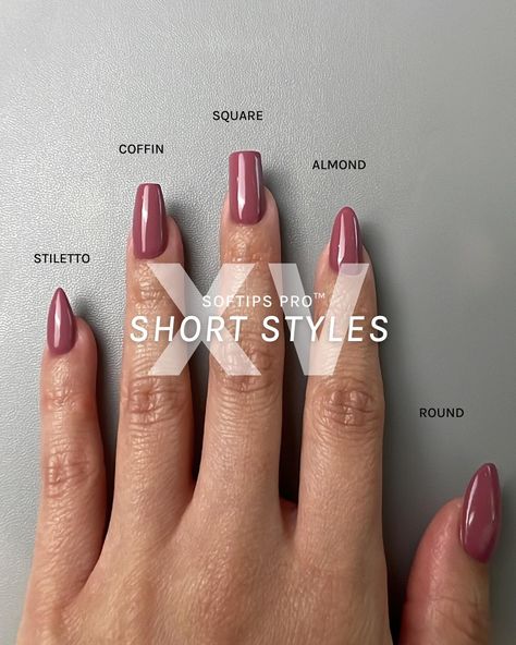 Almond Vs Round Nails, Square Vs Almond Nails, Round Vs Almond Nails, Nail Extension Design, Rounded Stiletto Nails, Extension Designs, Round Nails, Nail Styles, Collection Box